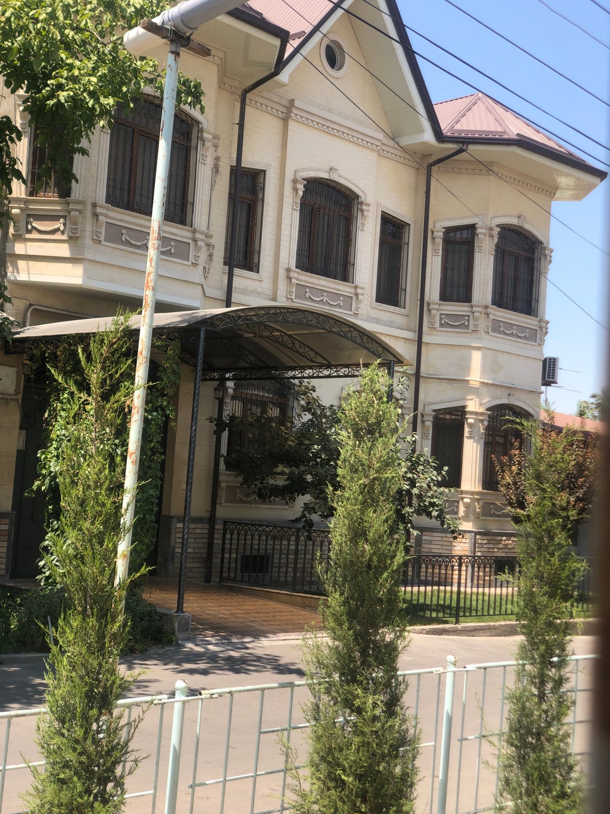Black cat watches a Tashkent street from behind lace curtains