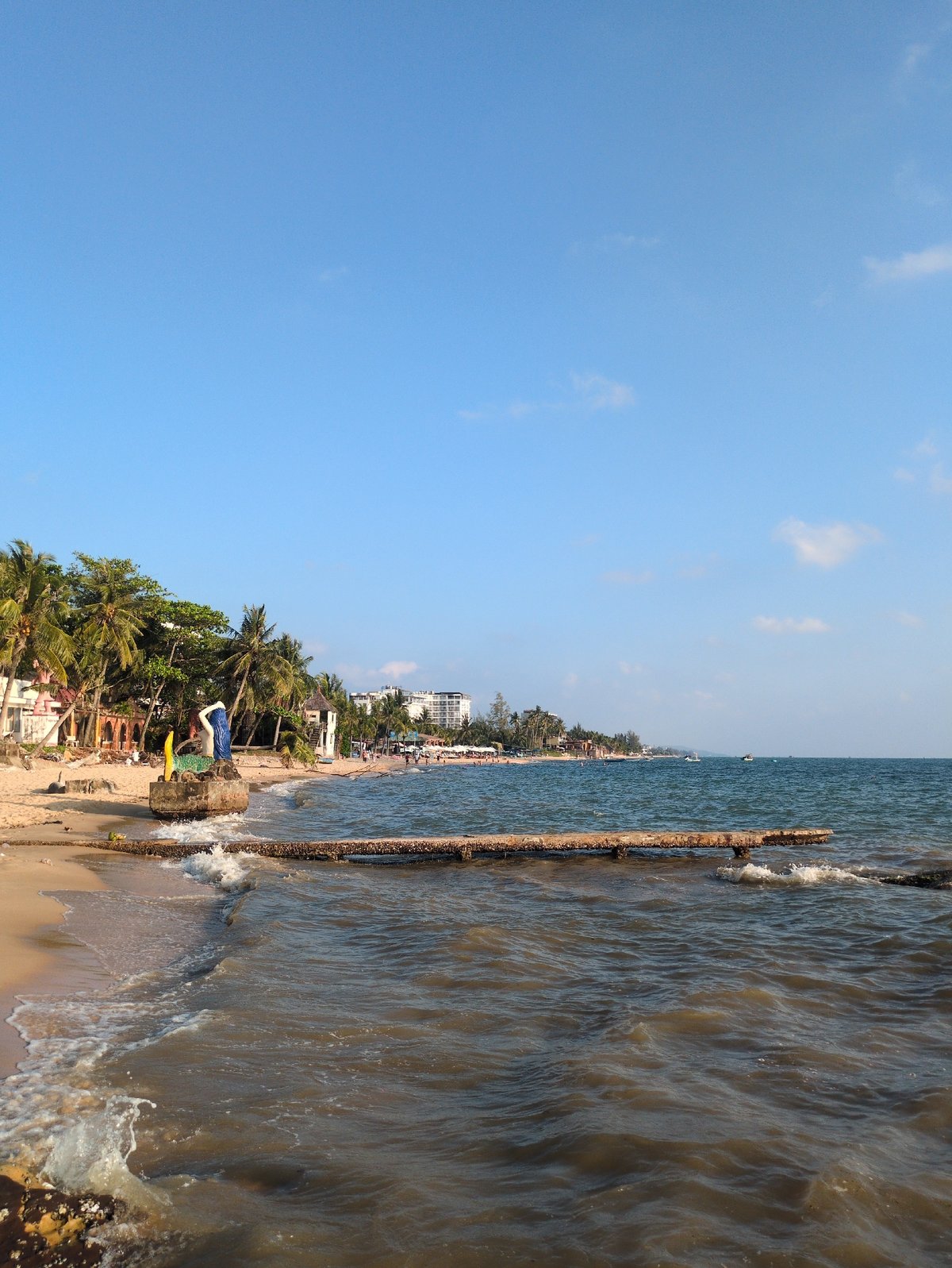 Witness documents ocean shoreline with murky brown water