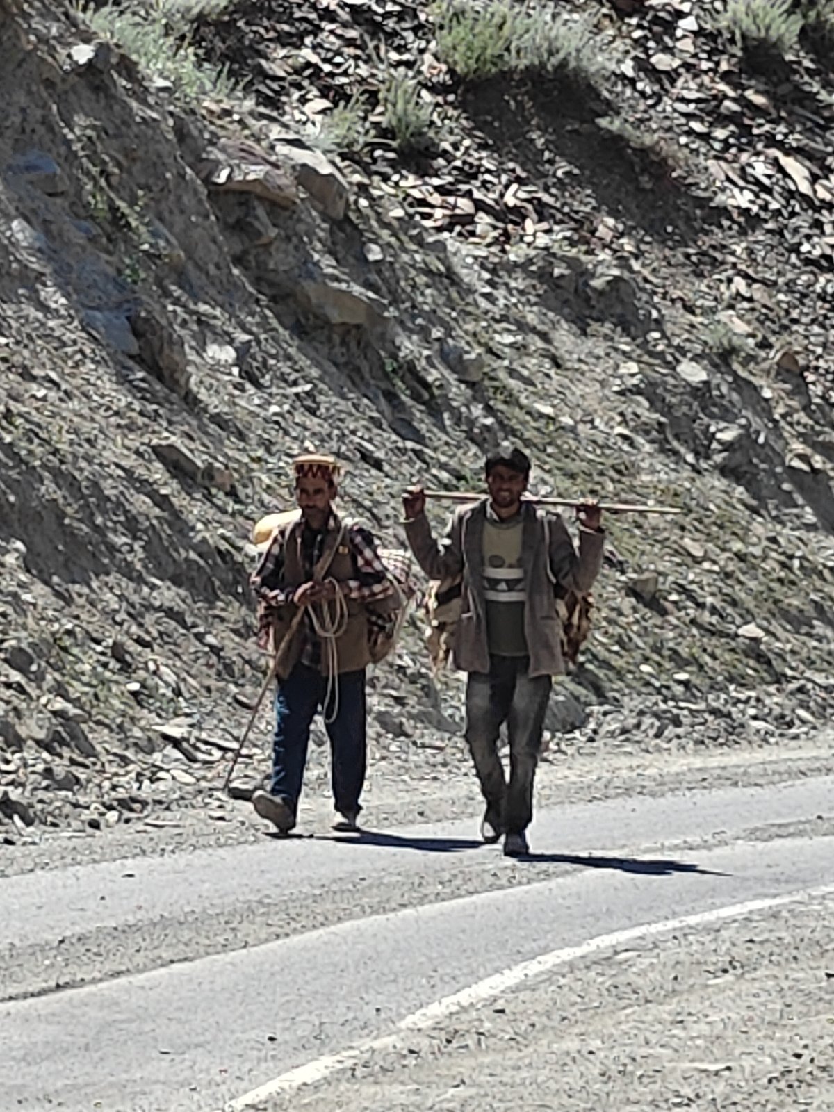 Sheep and goat herd moving through Kukumseri mountain roads
