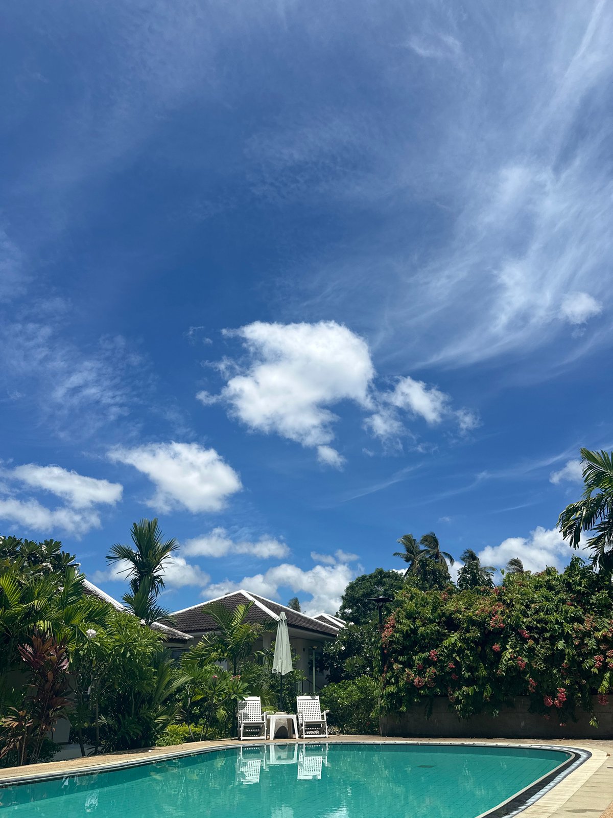 Poolside morning with tropical birds and plants, Koh Samui