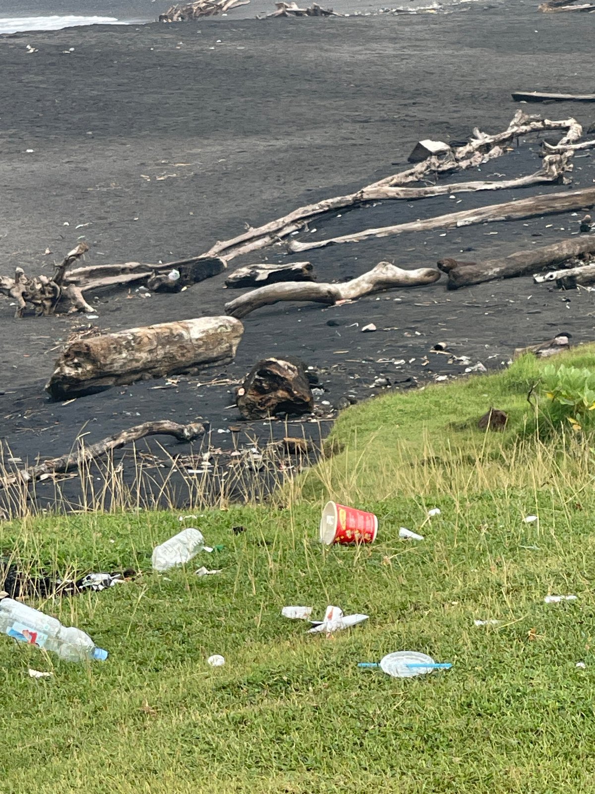 Plastic pollution documented on black sand beach in Mengwi