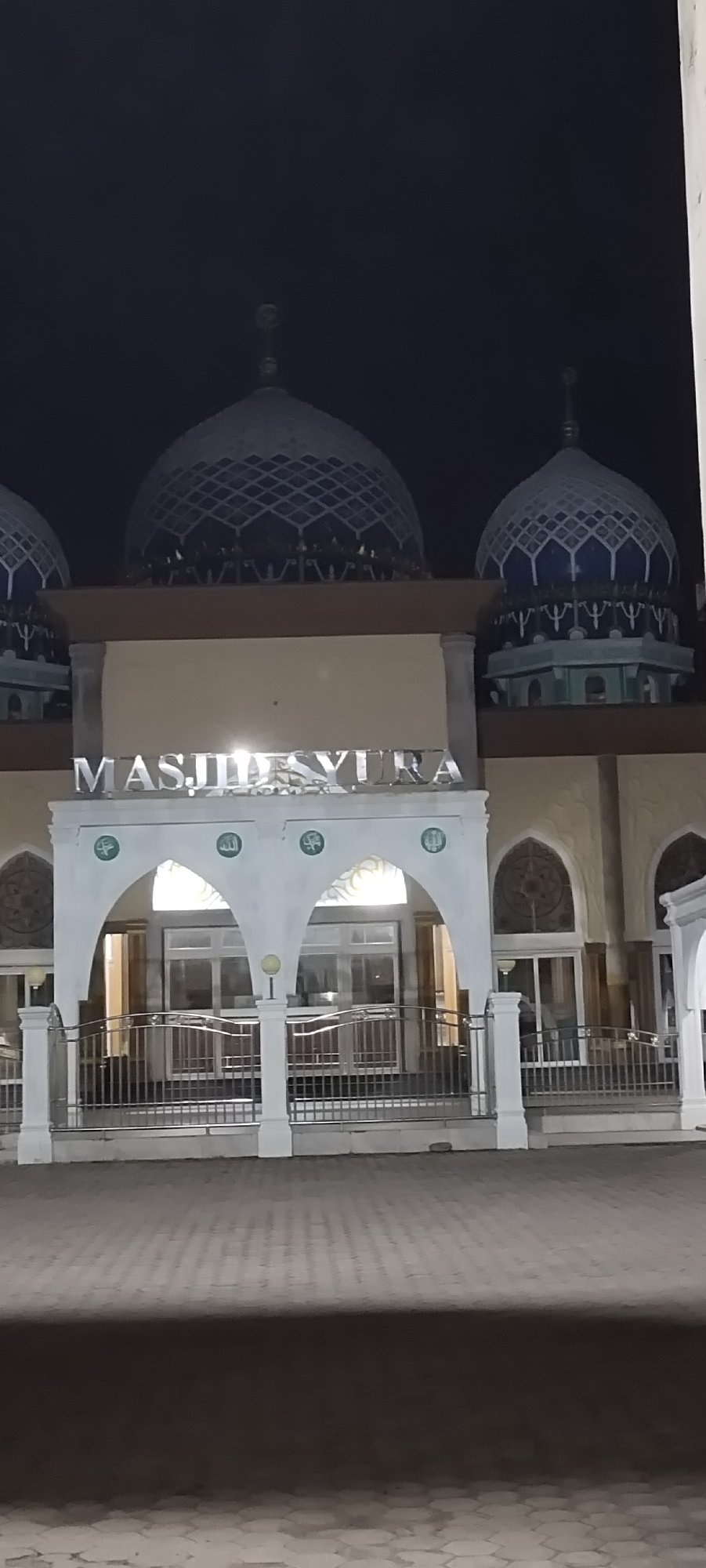 Nighttime scenes documented: mosque, cat, motorcycles near lit building