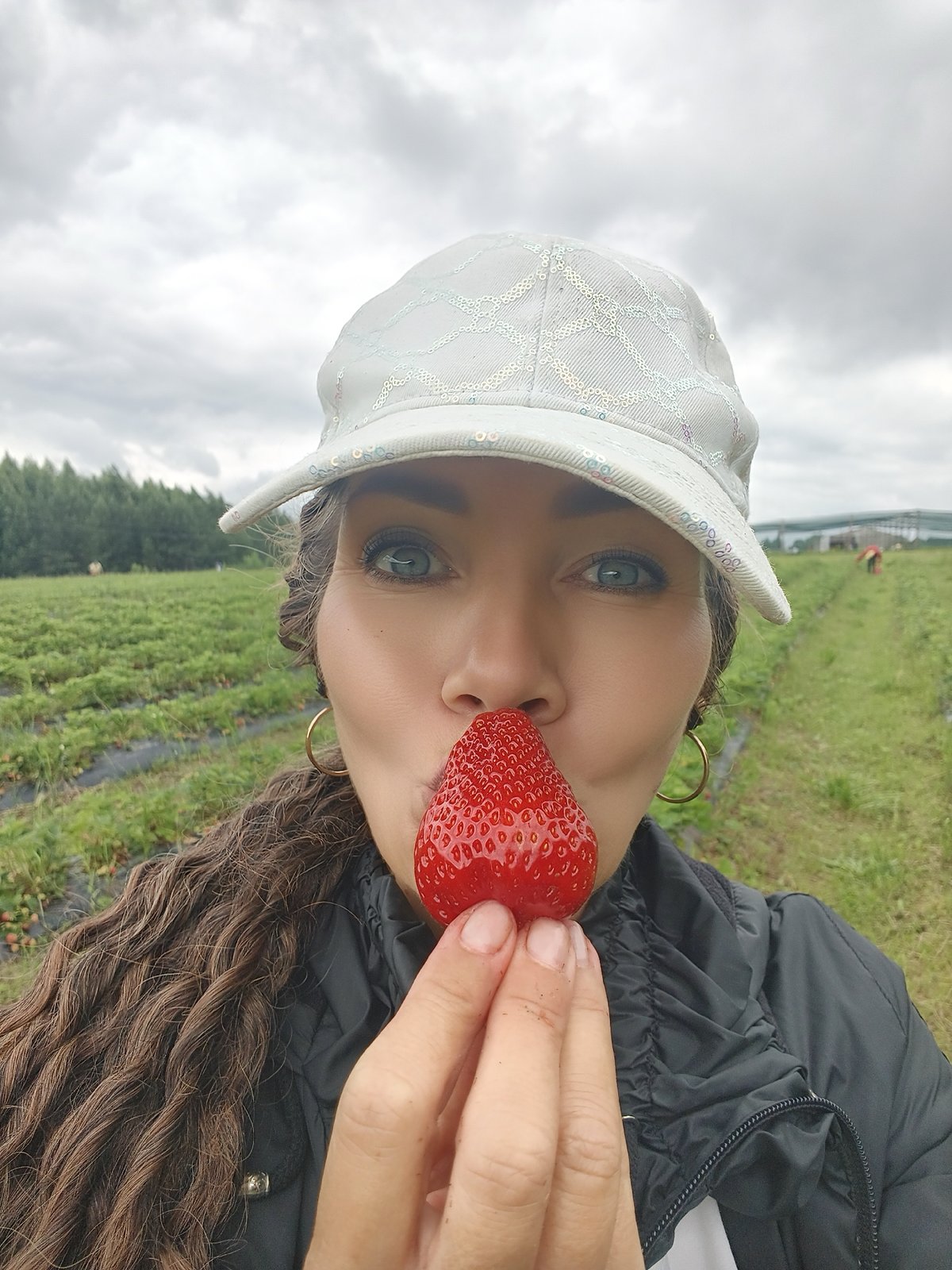 A morning strawberry picking trip at the farm