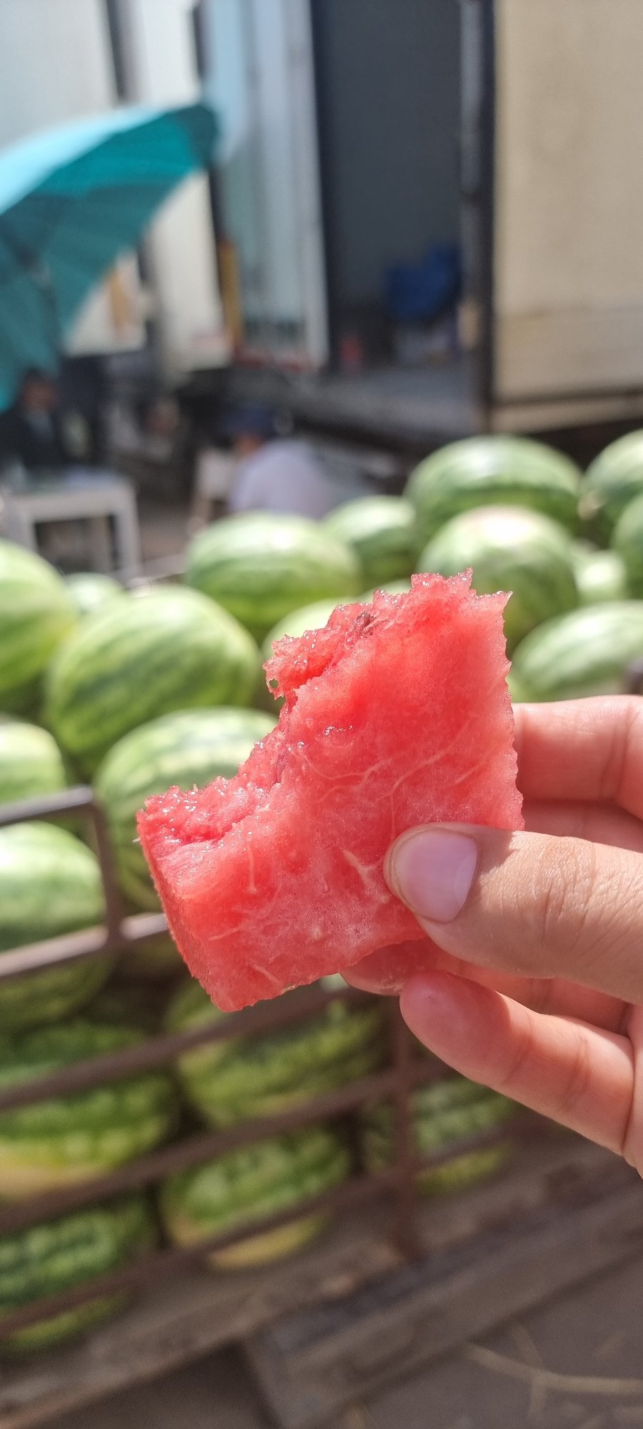 Watermelon market in full swing, Aktobe, Kazakhstan