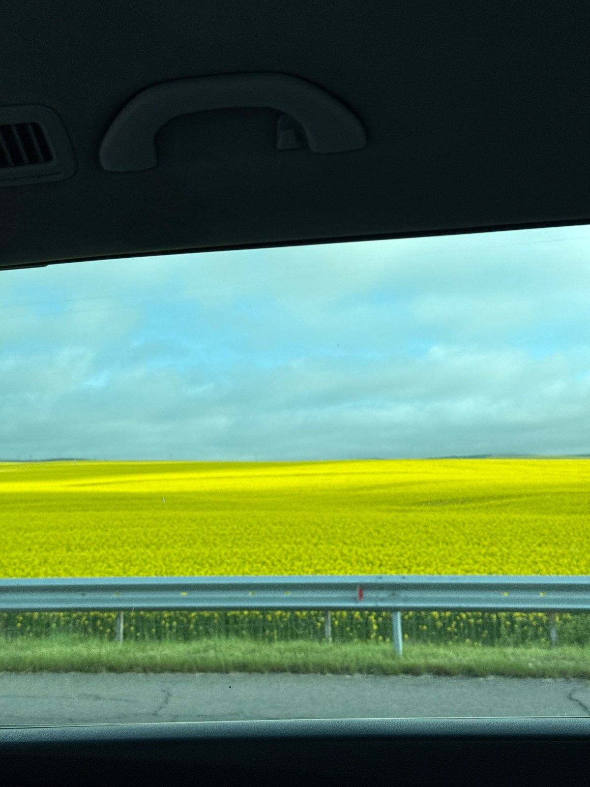 Car interior view captured from rear passenger window in Bulgaria