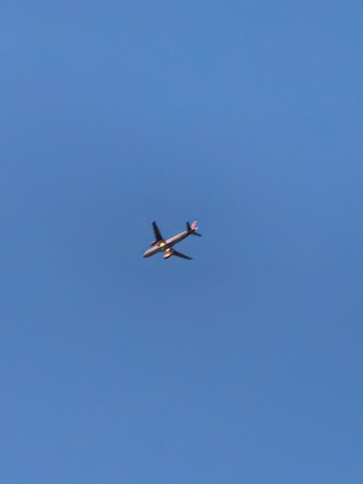 Quiet evening in a Varna neighborhood, planes overhead and cats below