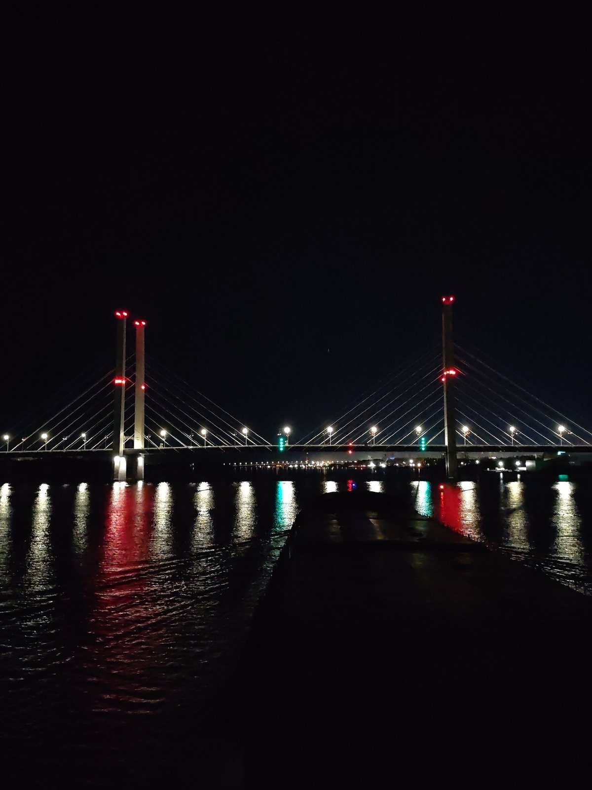 Illuminated cable-stayed bridge and city skyline captured at night
