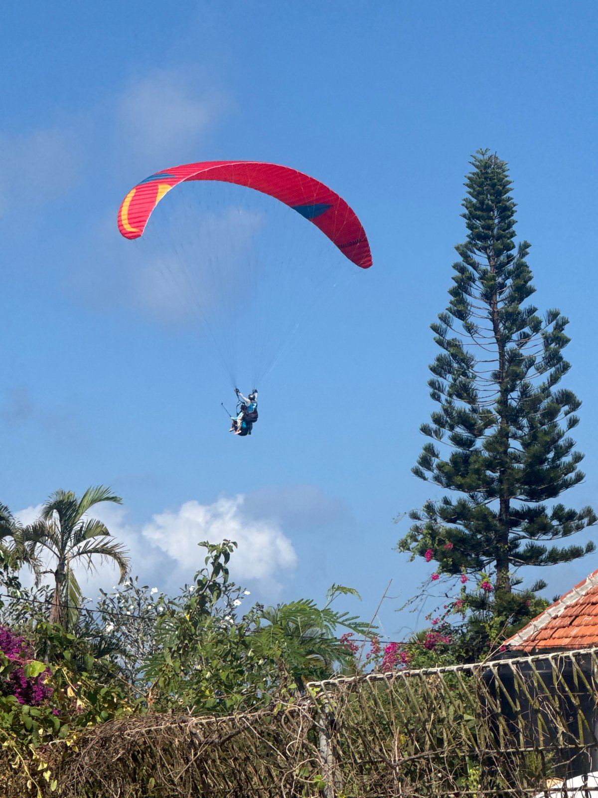 Paragliders swarm the skies over Kuta Selatan on a clear Bali morning