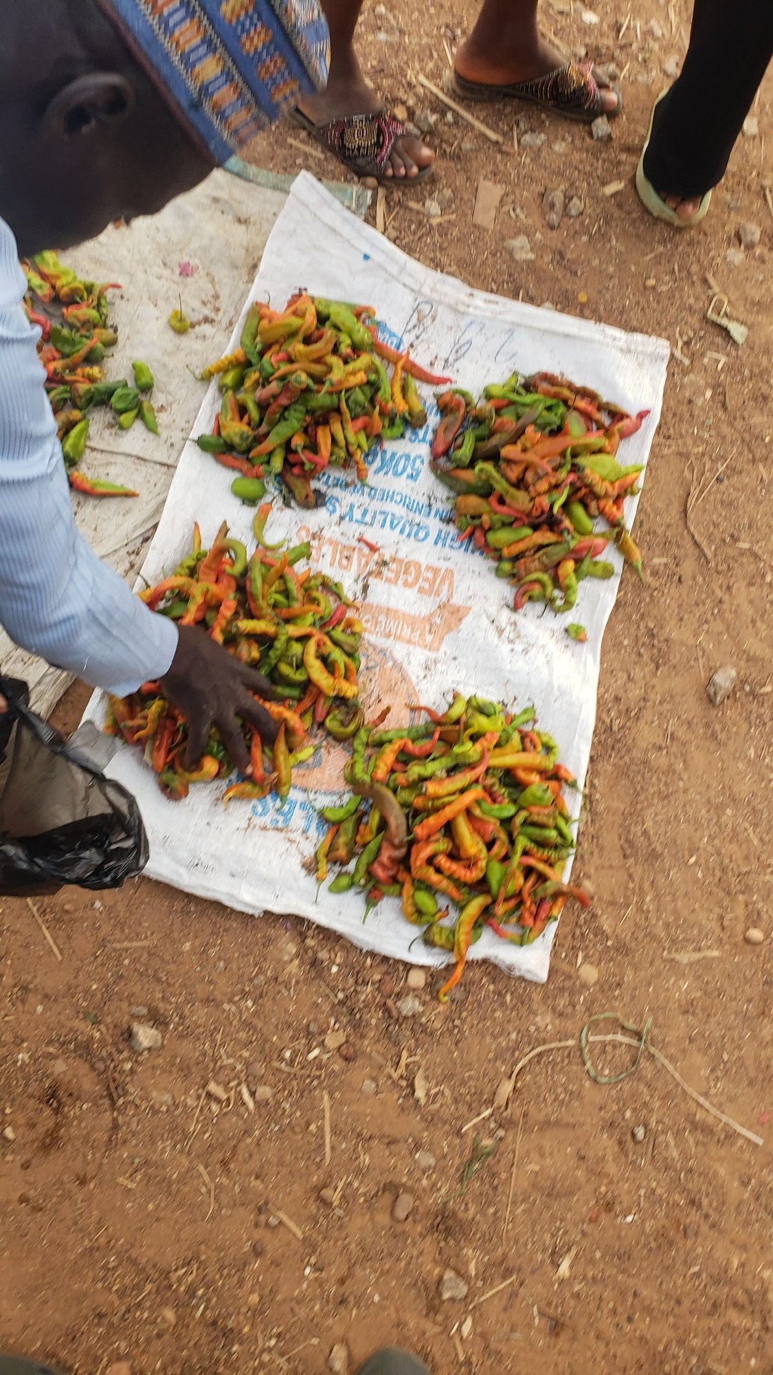 Outdoor market bustles with vendors in Rido, Nigeria