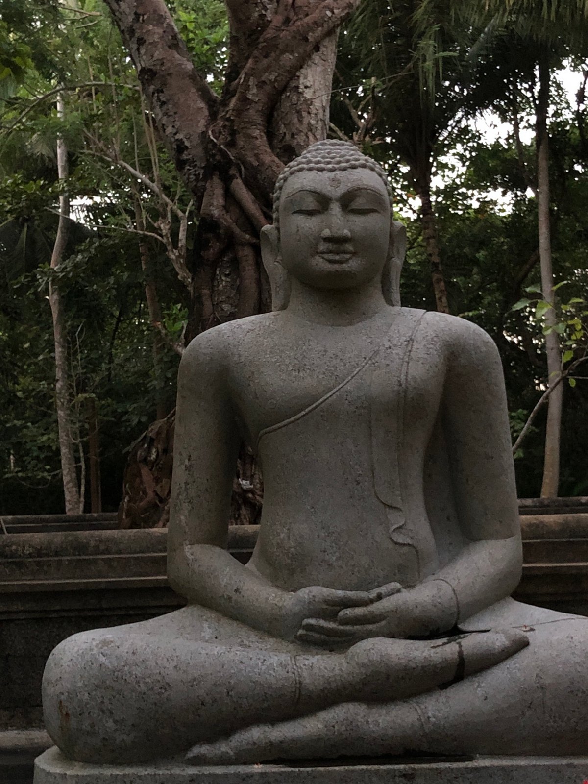 Lagoons, cattle, and Buddha figures along Sri Lanka's southern coast