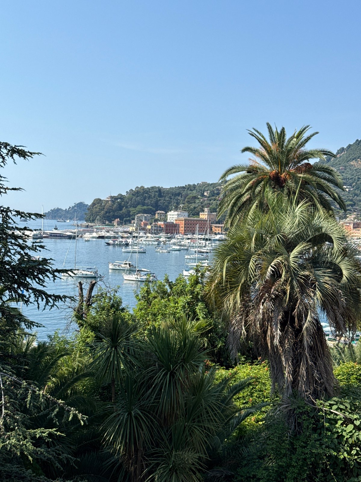 Calm morning at Santa Margherita Ligure's sailboat-filled harbor