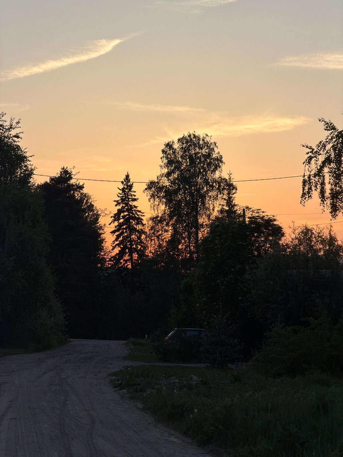 Orange-haired man, pink-haired woman photographed on rural Russian road