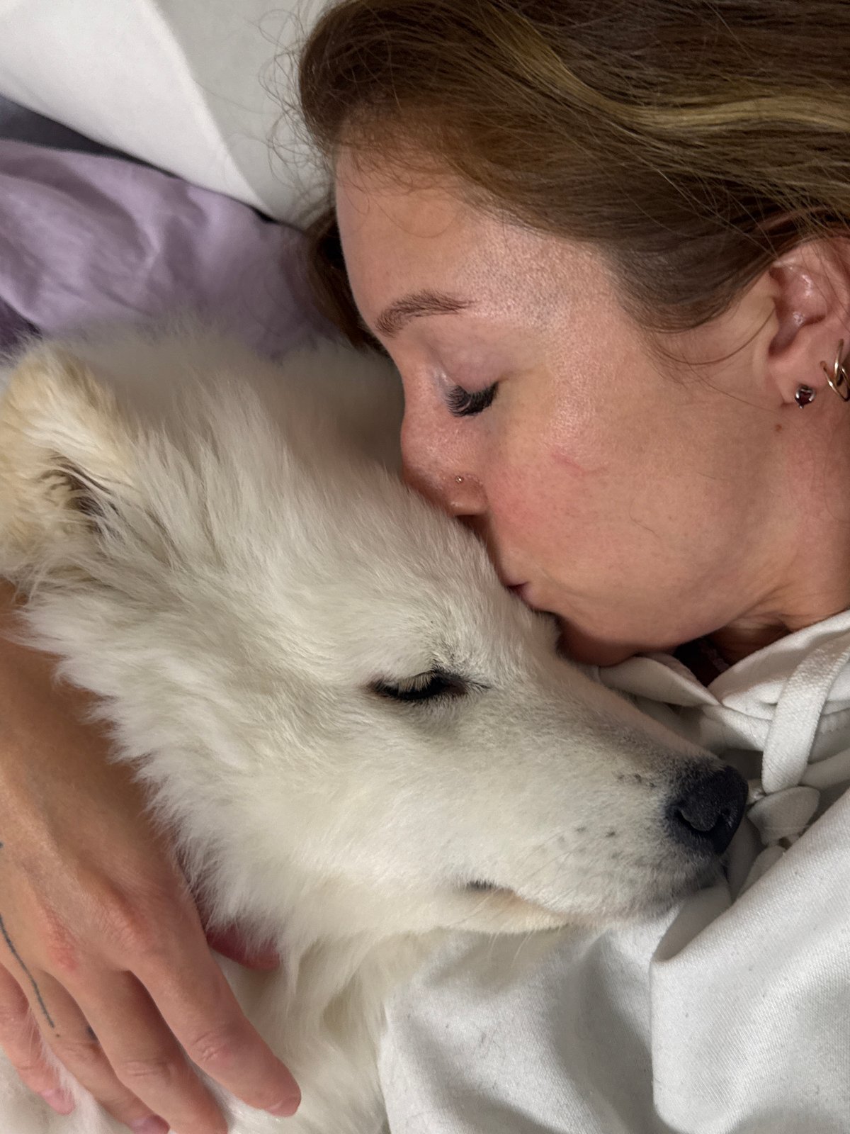 Quiet afternoon moments captured in Chaikovsky: sleeping dog, woman dining