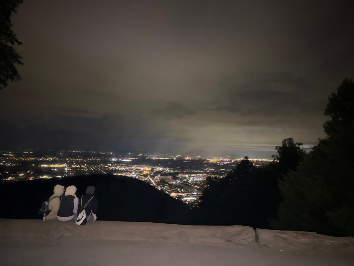 Nighttime panoramic views captured of Heidelberg from elevated vantage point