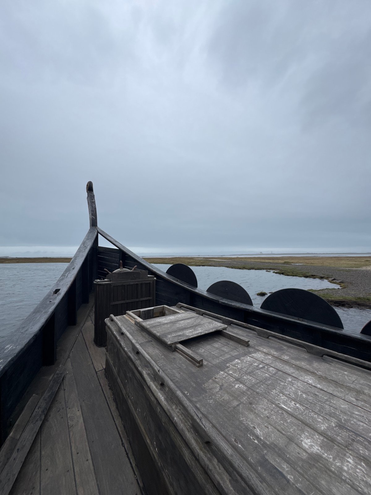 Viking ship replica spotted docked in Icelandic fjord