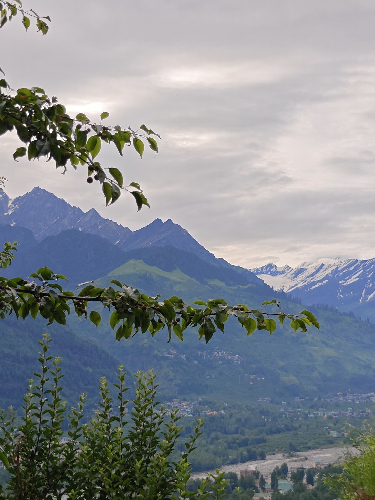 Wandering Vashisht's trails amid forests and Himalayan peaks