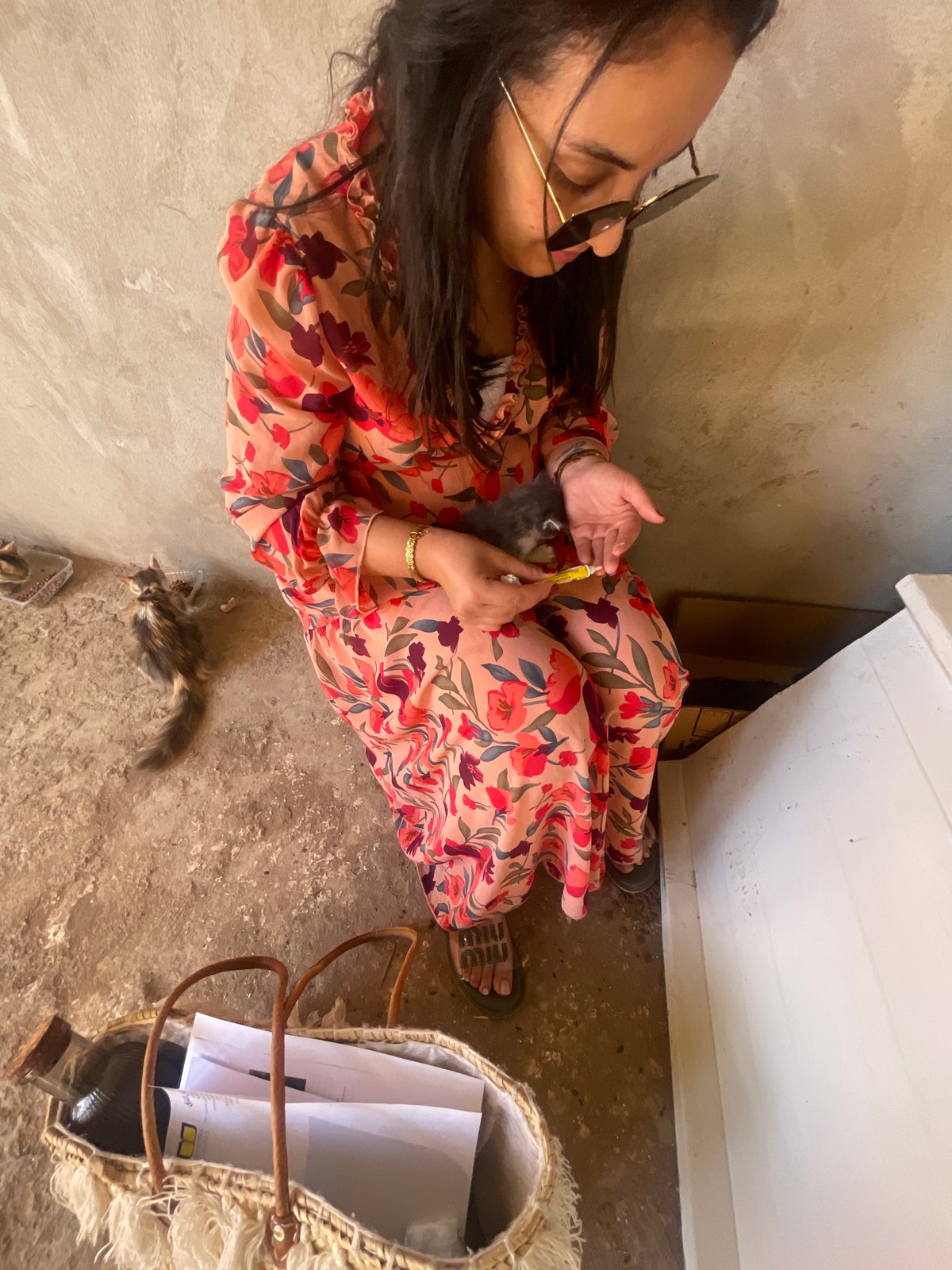 Woman tends to kittens in Marrakesh care session
