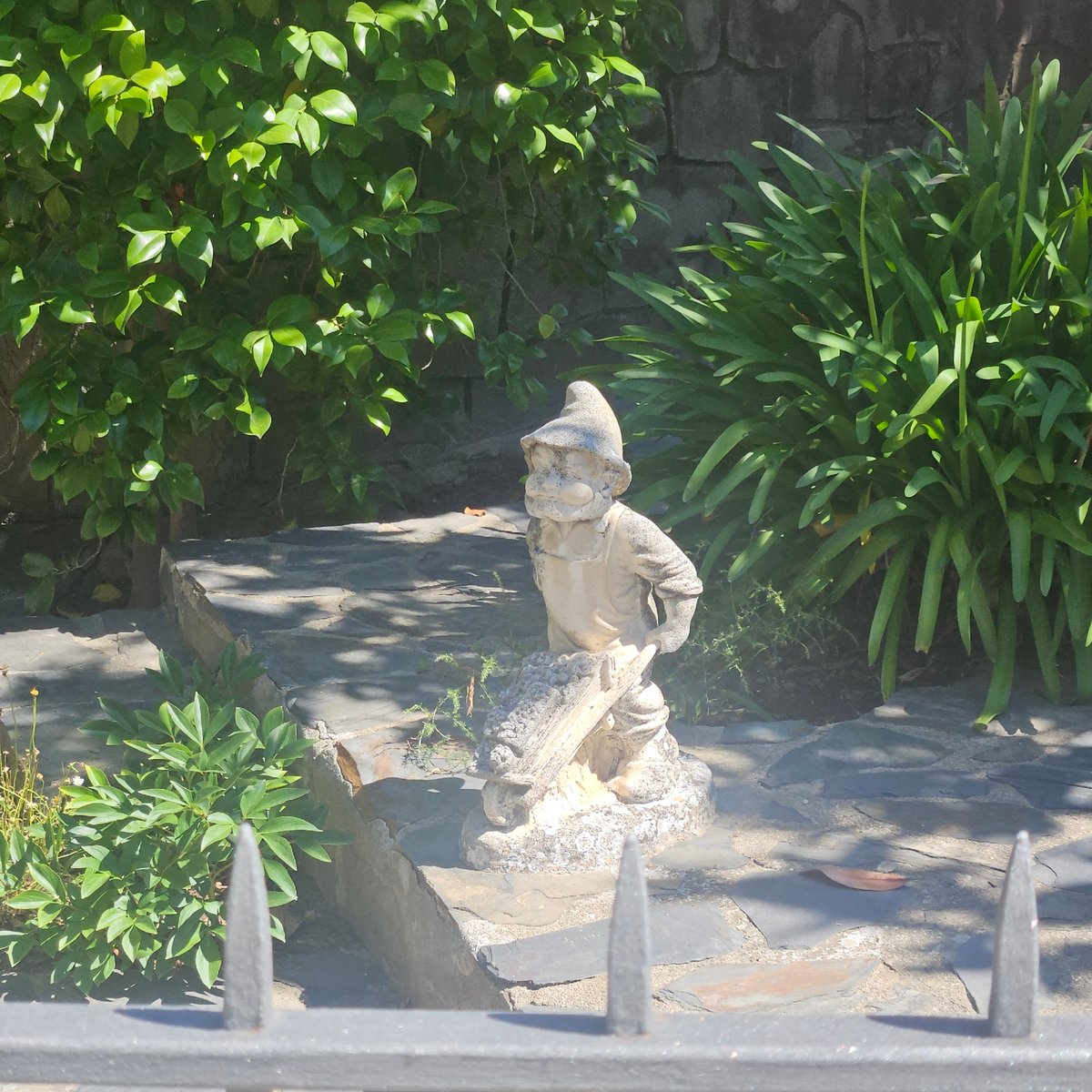 Morning scenes documented in La Jonquera: statues, pets, architecture