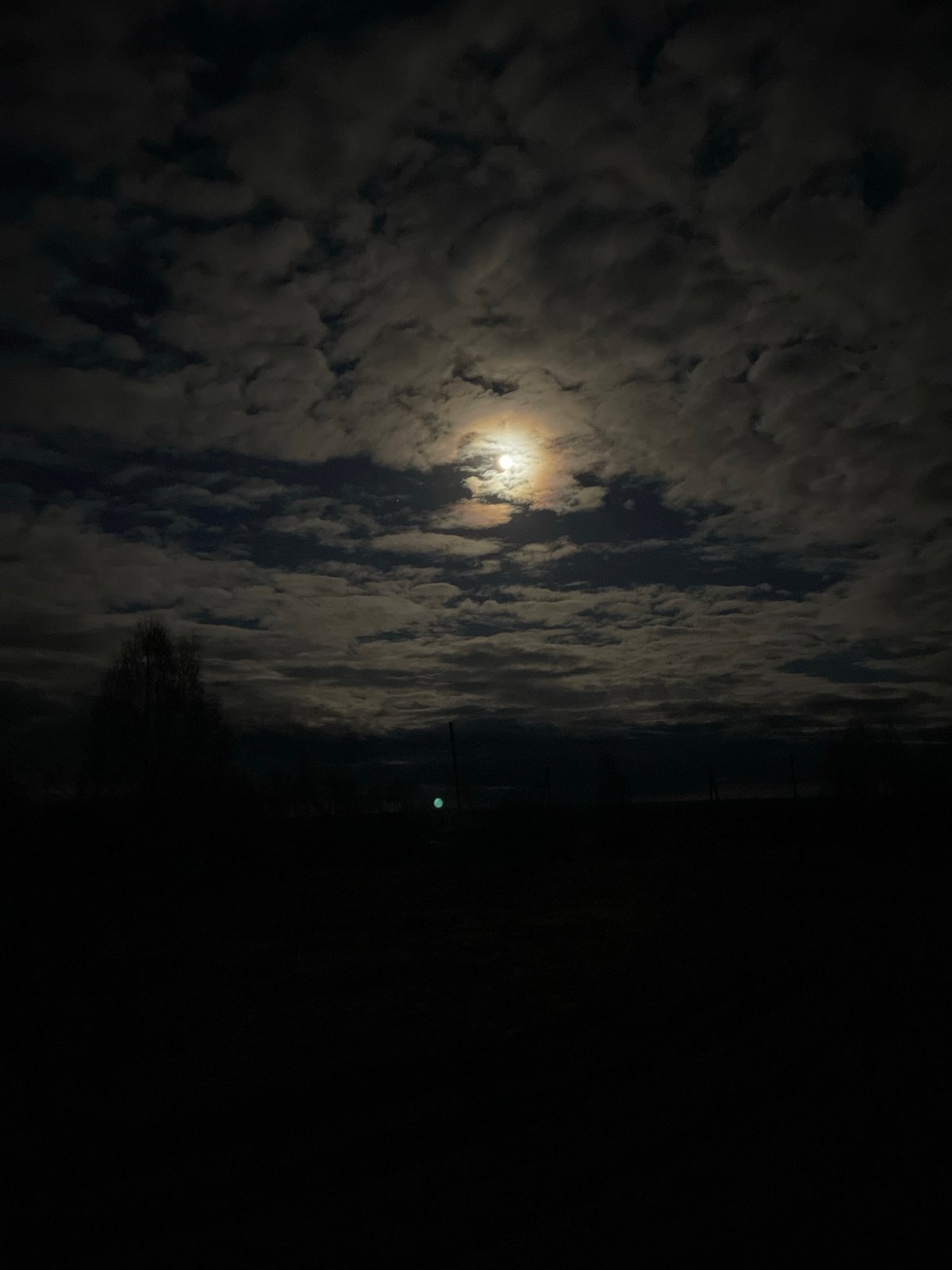 Moonlit cloudy night sky observed in Шешурга, Russia