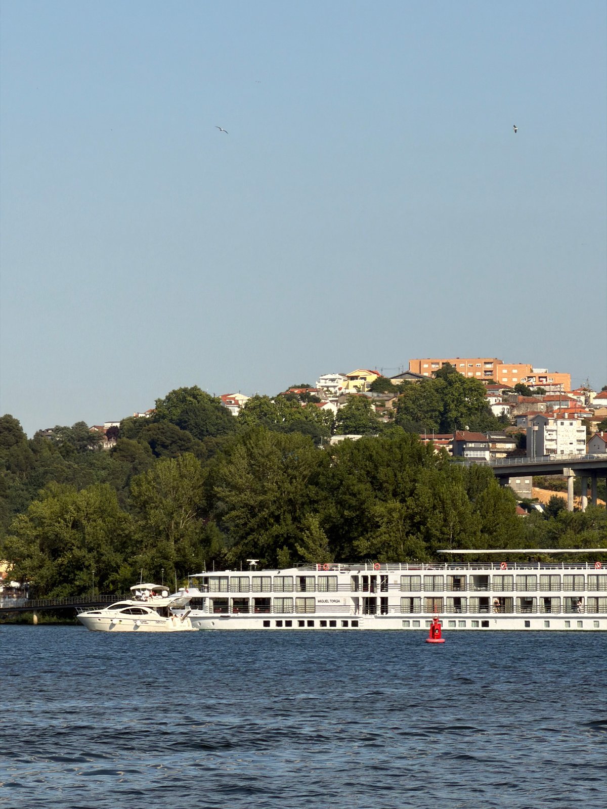 White yacht passes under Dom Luís I Bridge on the Douro