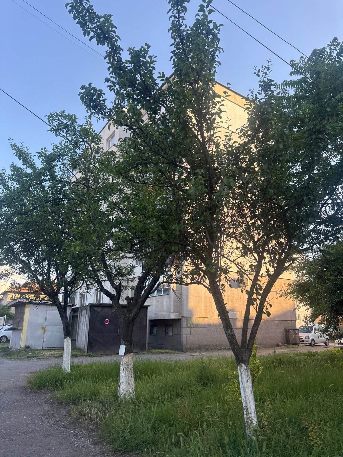 Afternoon walk documented in suburban Kostinbrod, Bulgaria