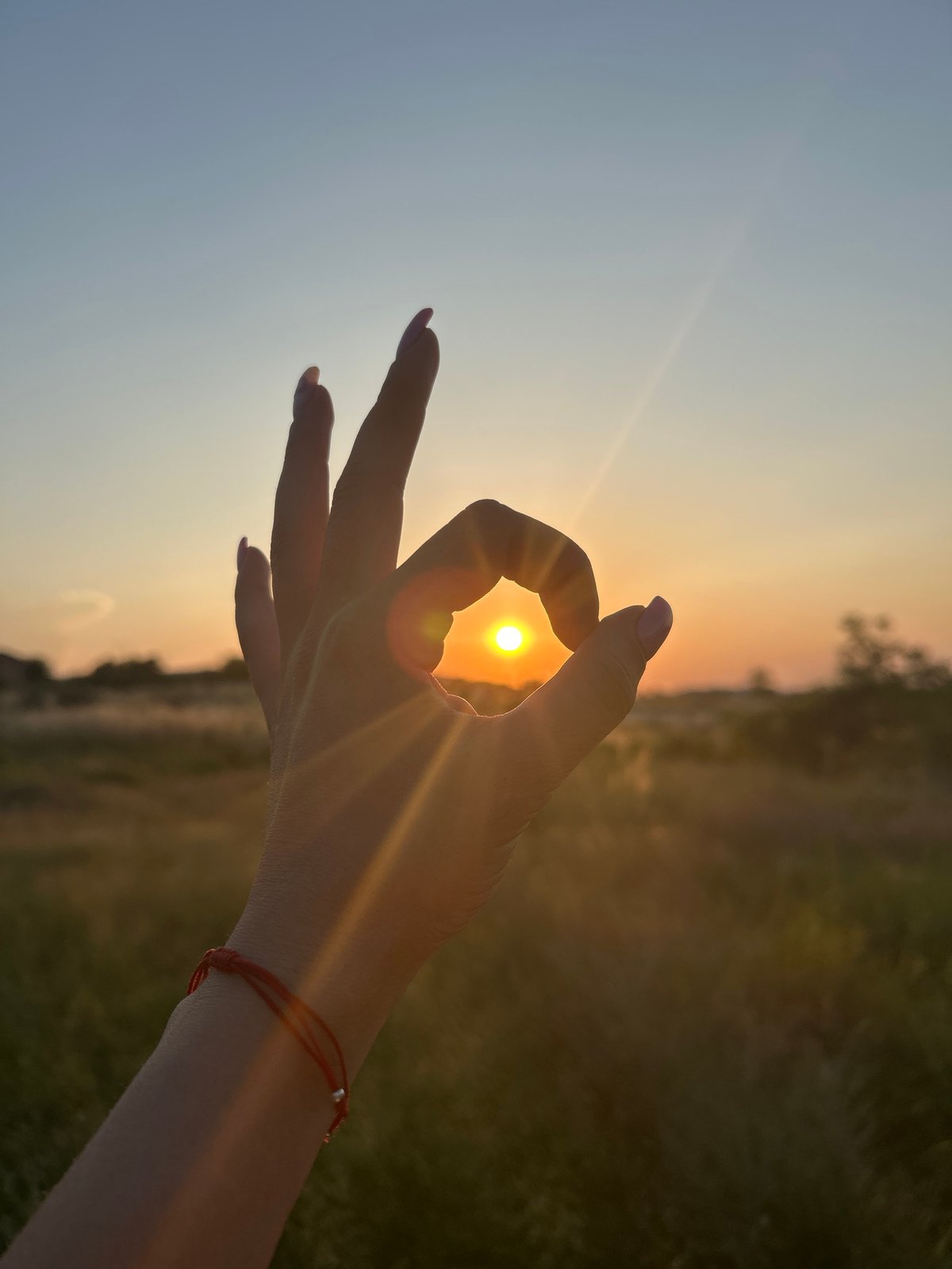 Golden hour field session with a dog and sunset shots