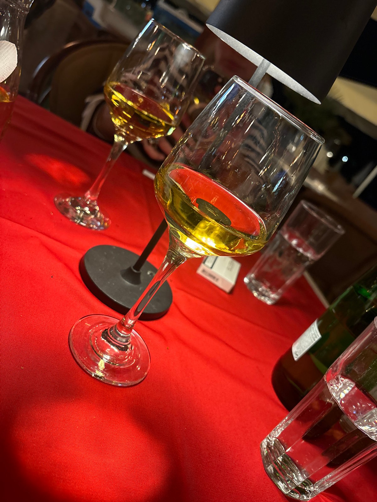Evening dinner documented at Budva Montenegro restaurant May 2026