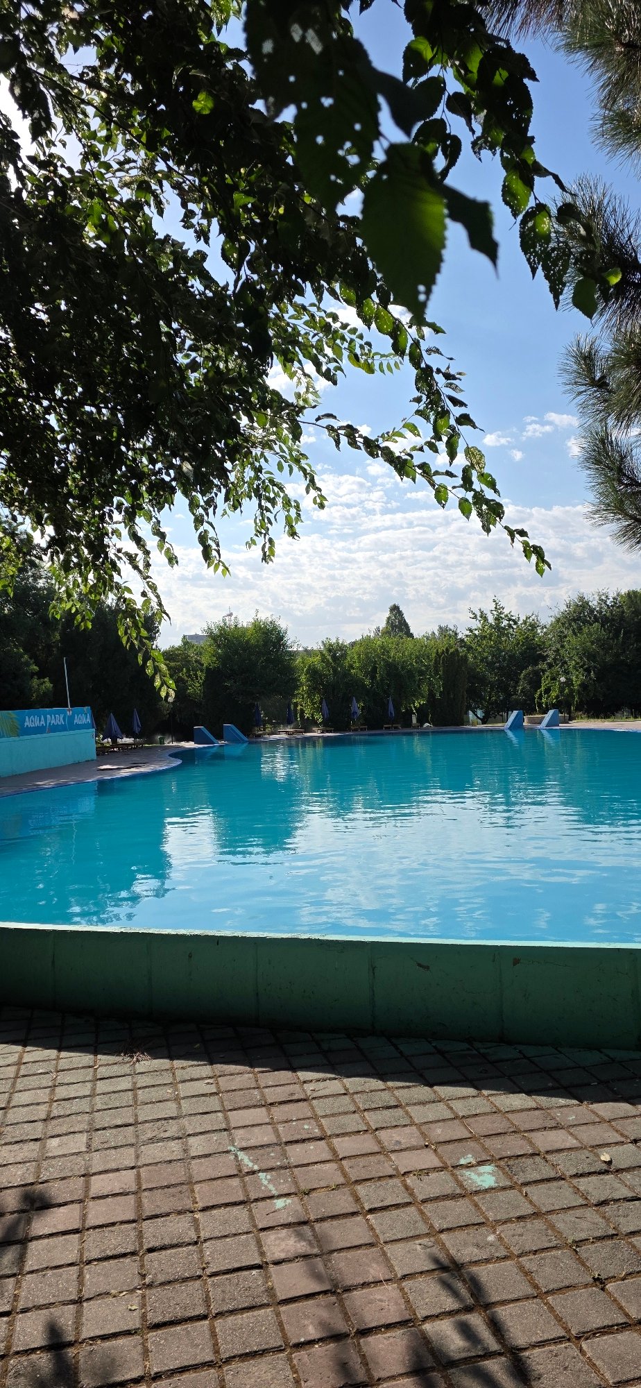 Tashkent park morning: pool, river, hibiscus, and city views