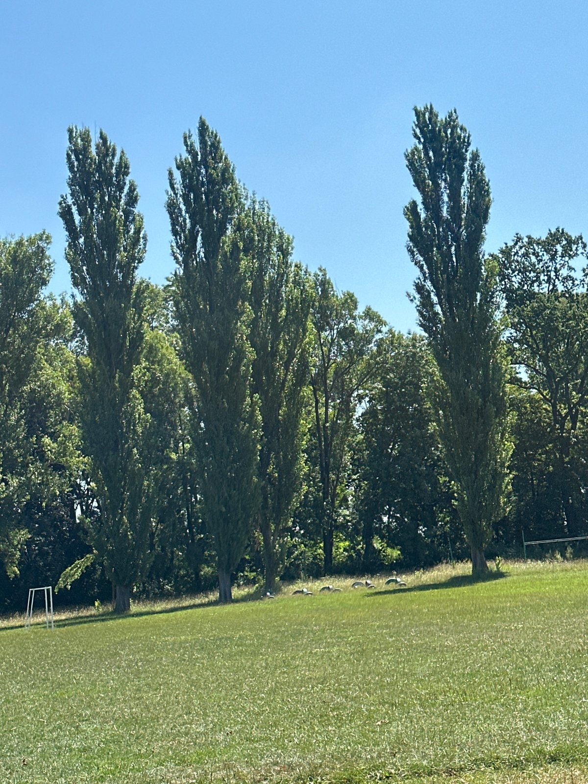 Sunny morning at a park and sports field in Makiv, Ukraine