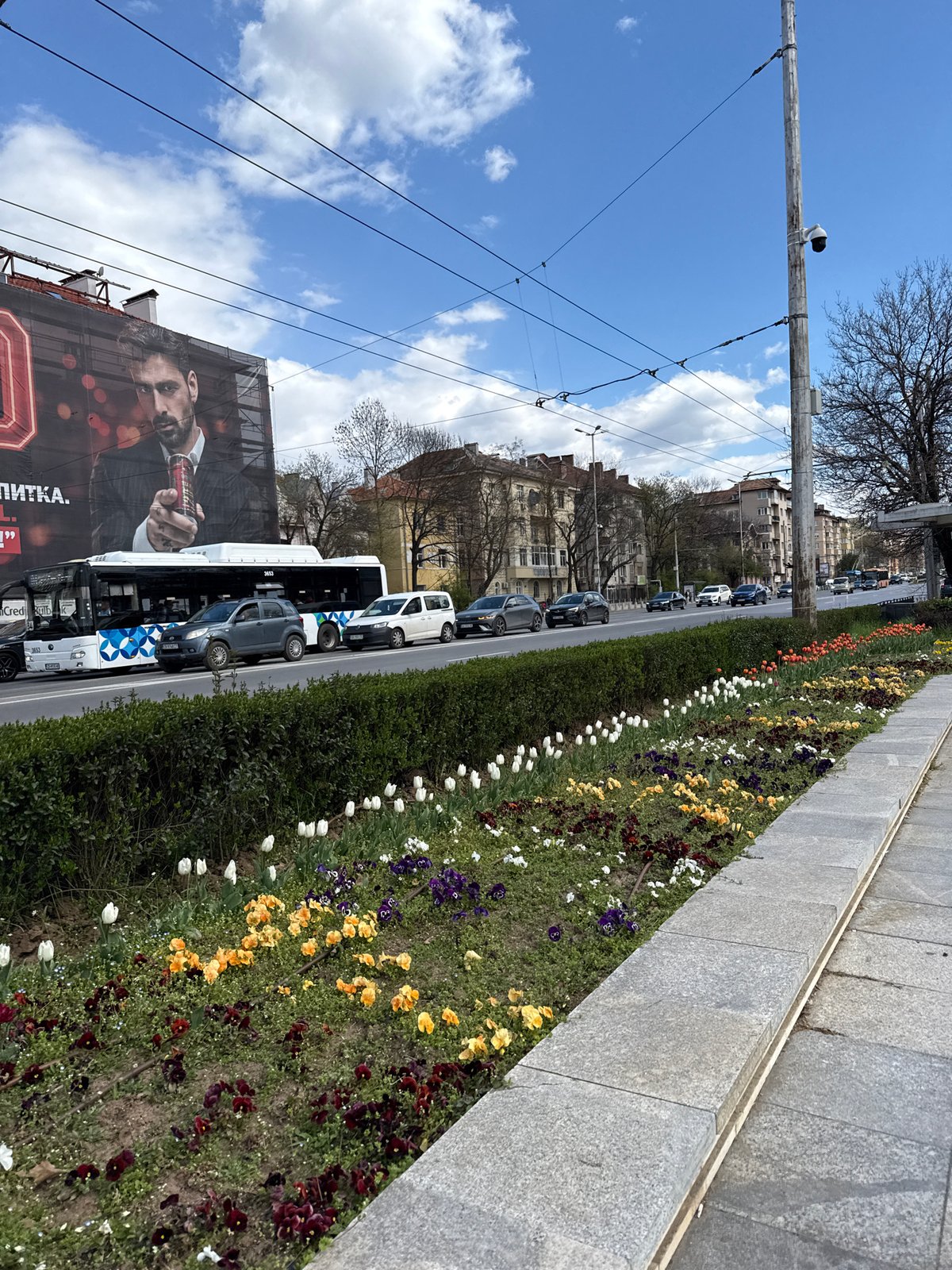 Everyday moments documented across Sofia during morning hours