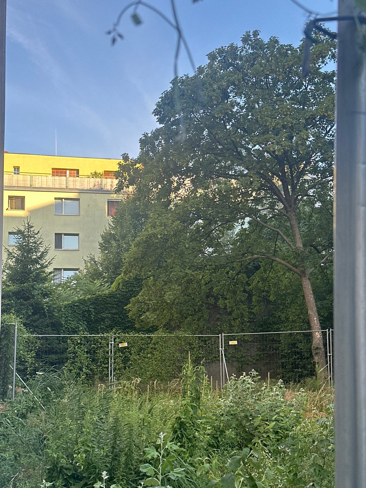 Quick street-level survey of a city neighborhood on a clear day