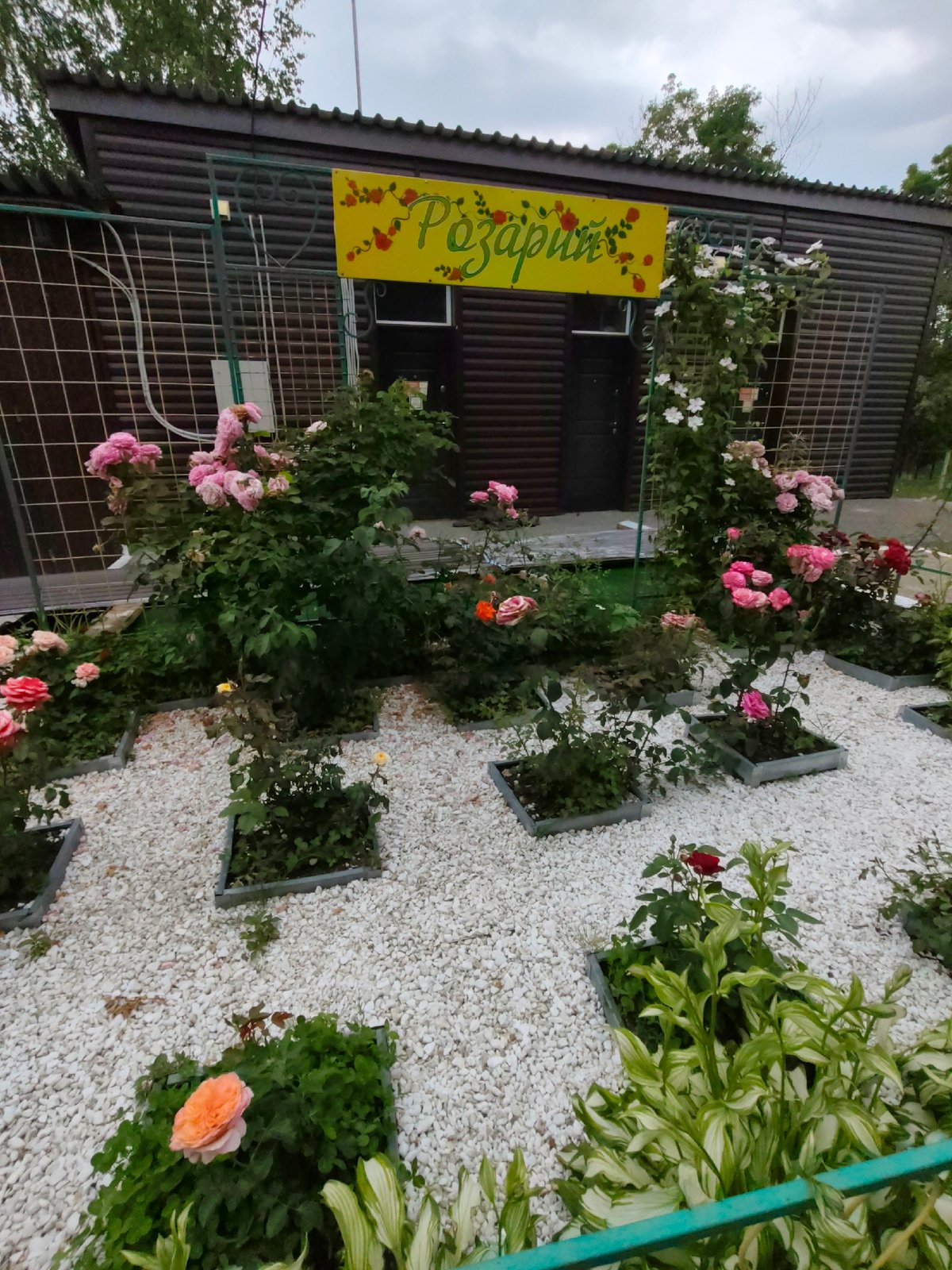 Inside a well-tended Arseniev garden full of plants and ornaments