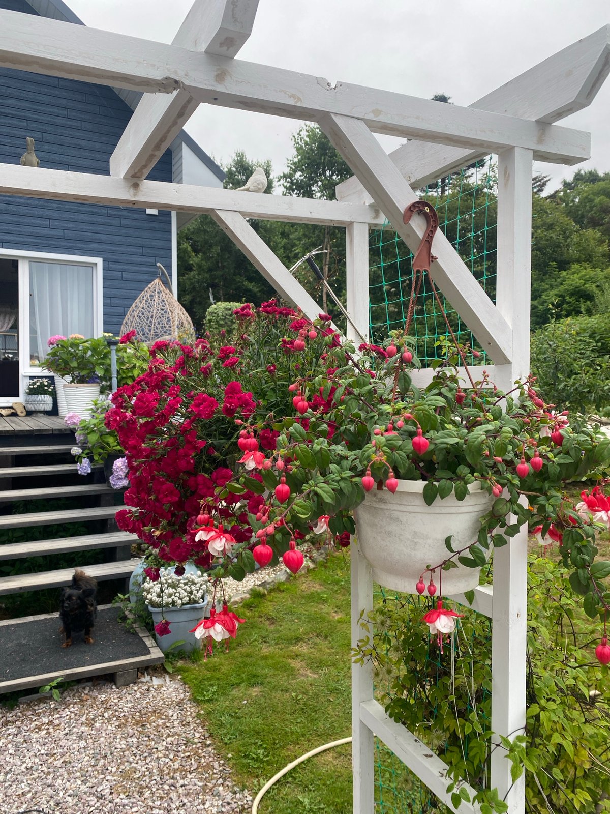 Backyard garden in full summer bloom, Tret'ya Pad'
