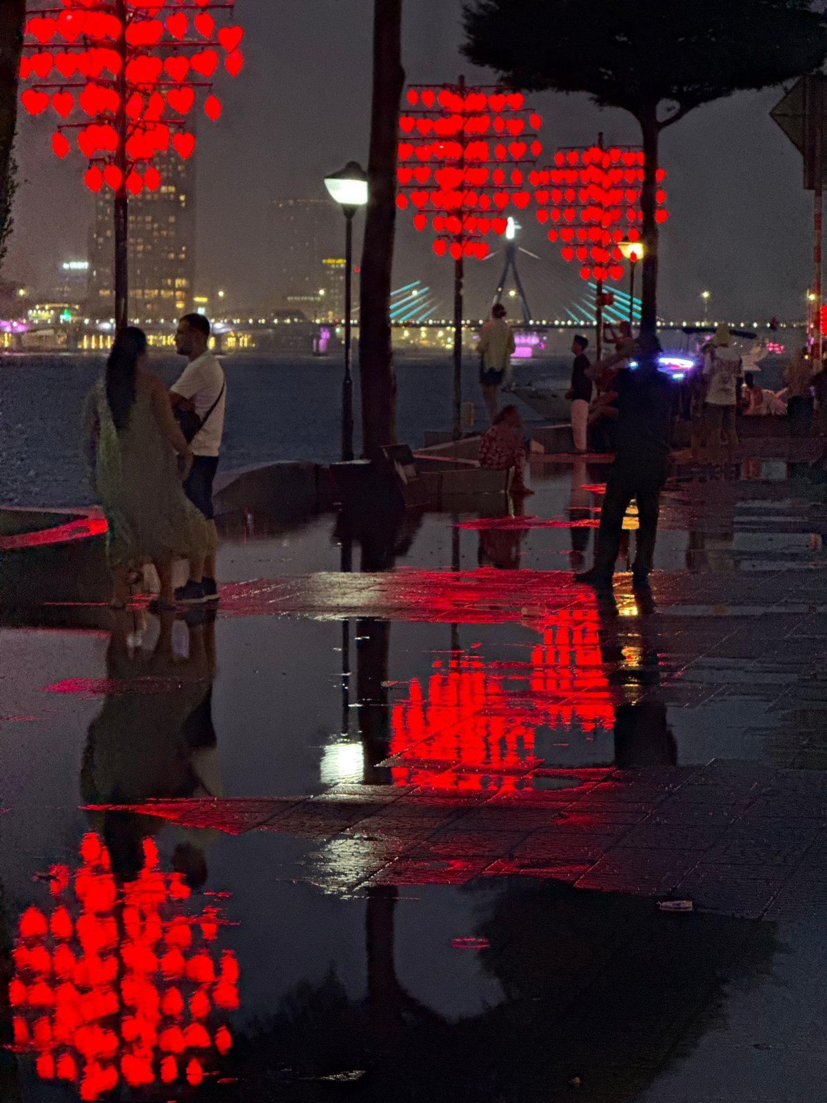 Rainy Night Scenes Captured Across Đà Nẵng's Illuminated Waterfront