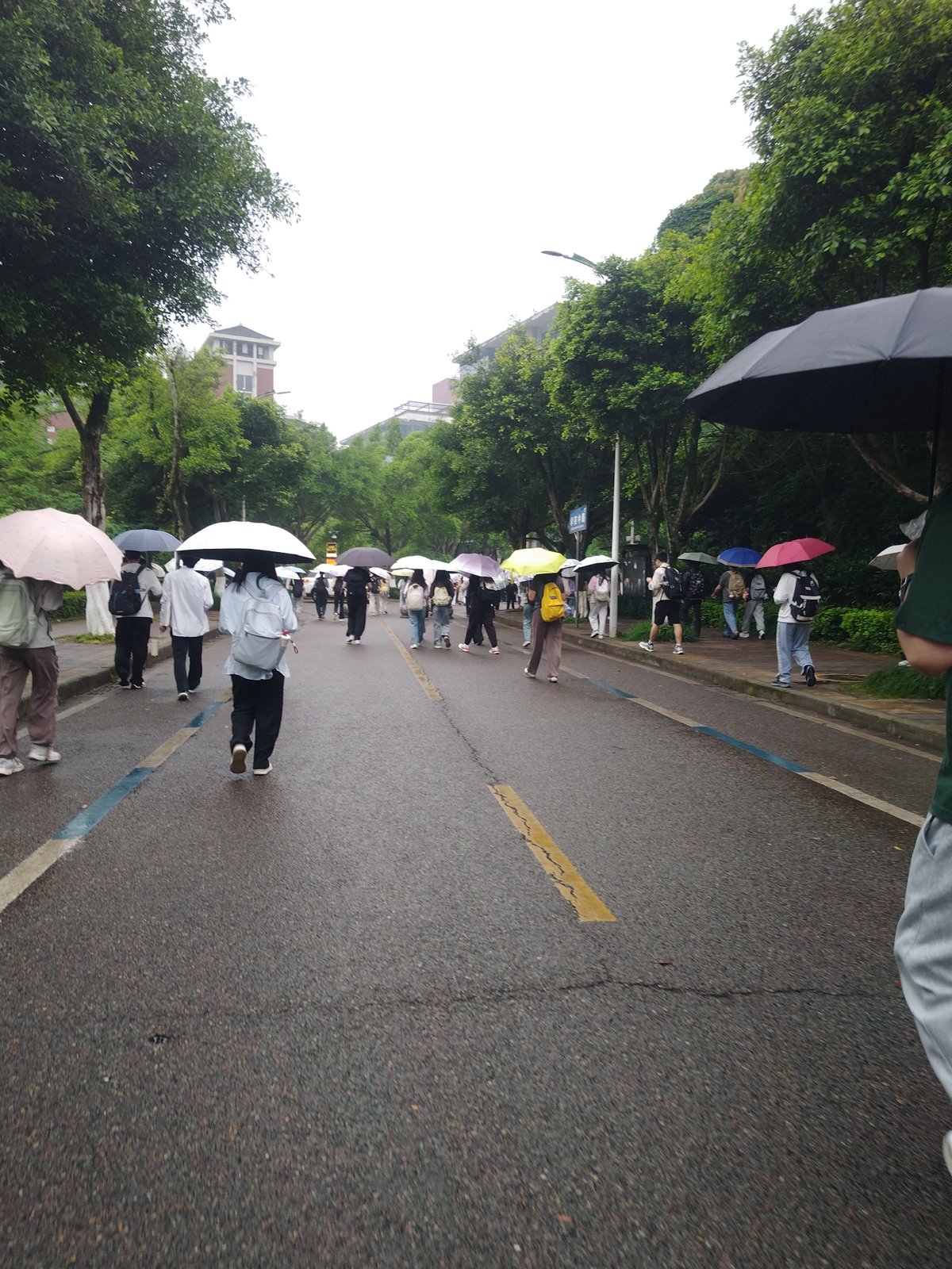 Umbrella-carrying pedestrians walk wet Chongqing road during rainfall
