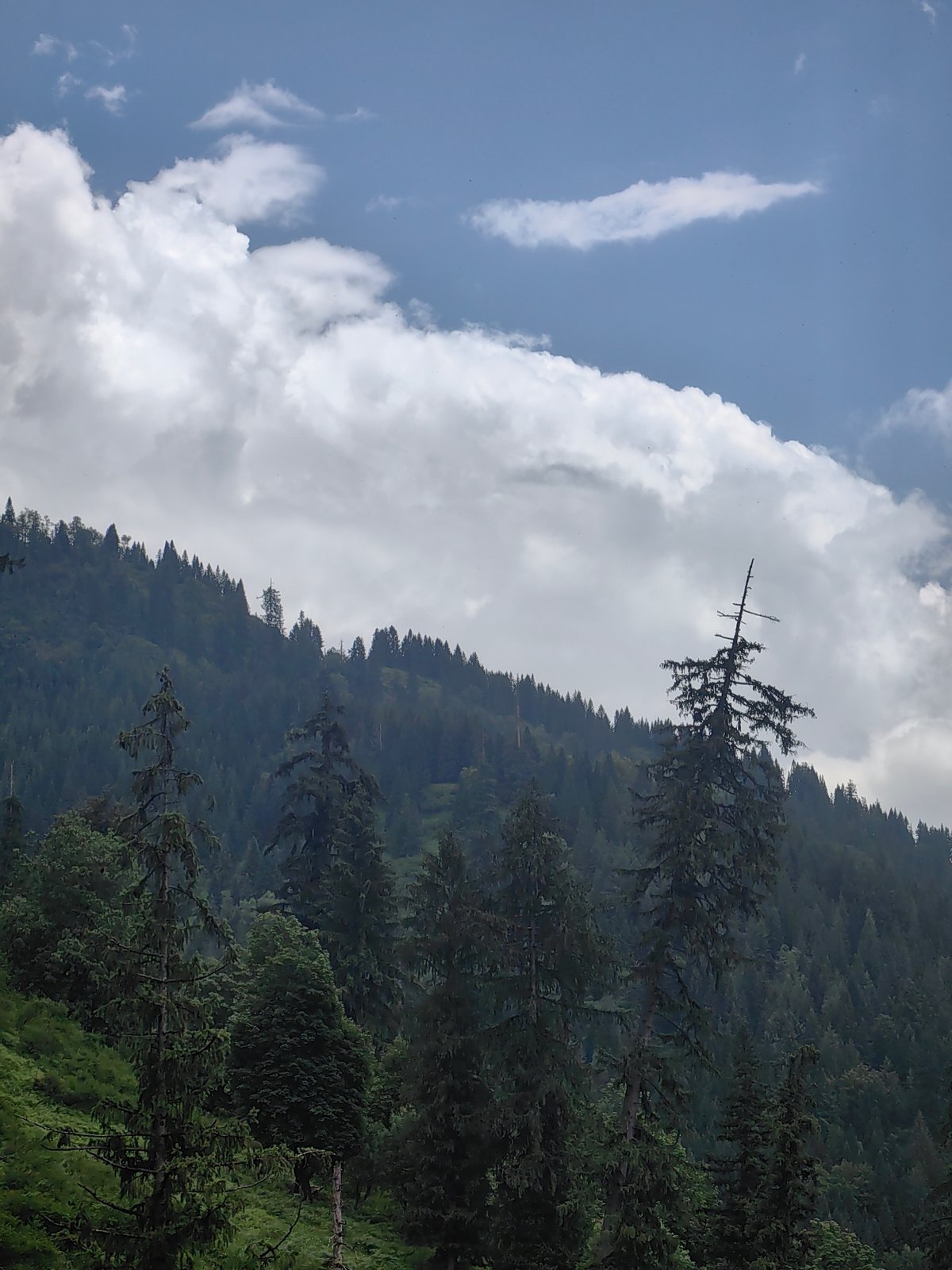 Kothi's gorge, bridge, and pine-covered slopes on a cloudy morning
