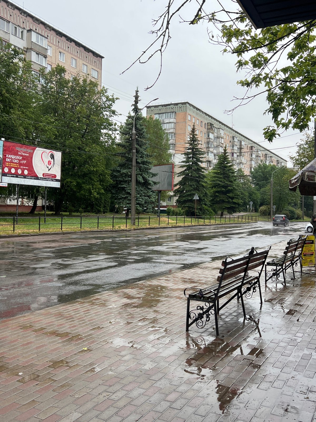 Morning rain scenes and flower market documented in Ternopil