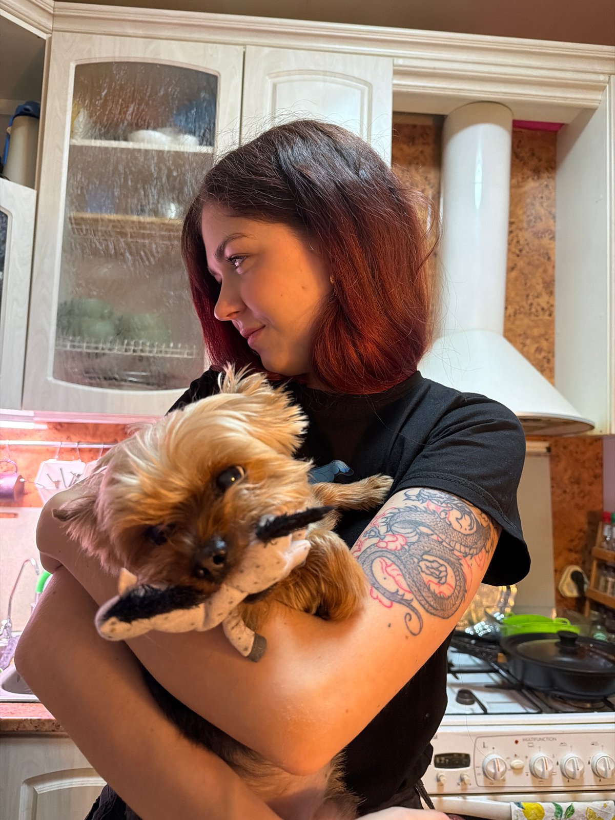 Woman holds dressed dog with toy in Murmansk