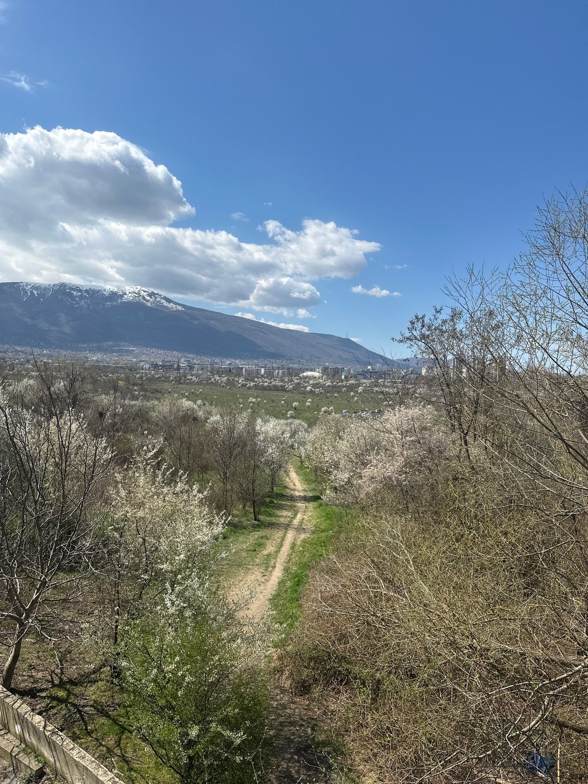 Spring morning scenes captured across Sofia from street to mountain view