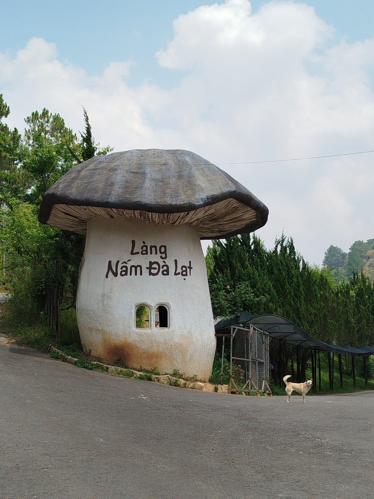Early morning documentation of roadside structures in Da Lat