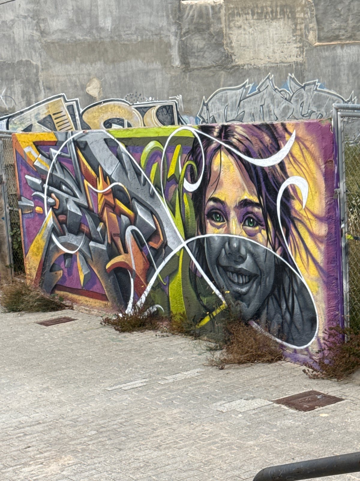 Morning street art and blooming trees observed in urban area