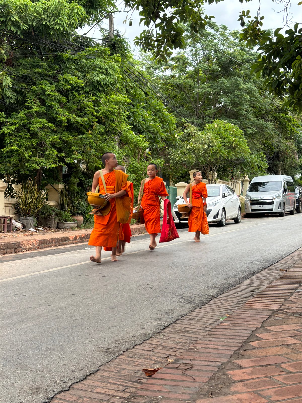 Morning alms procession on rain-slicked streets in Luang Prabang