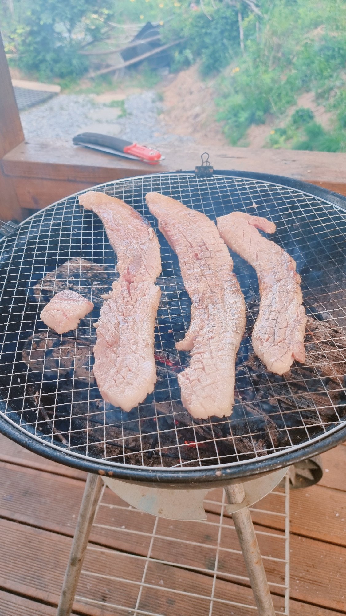 Family barbecue gathering documented in rural South Korea