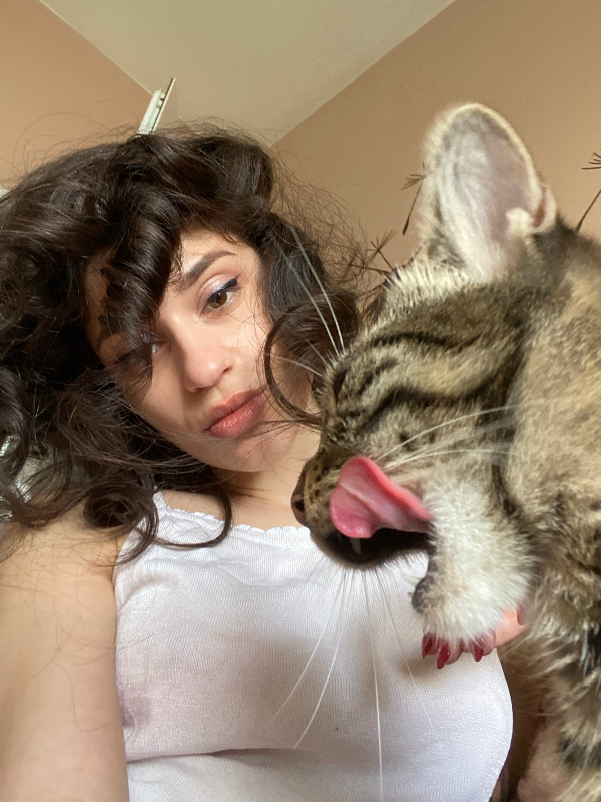Woman takes selfies with affectionate tabby cat in Sofia