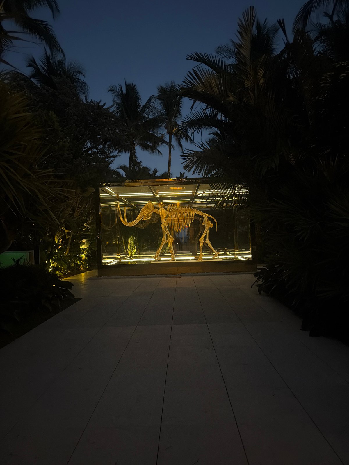 Illuminated dinosaur skeleton display observed at night in Miami Beach