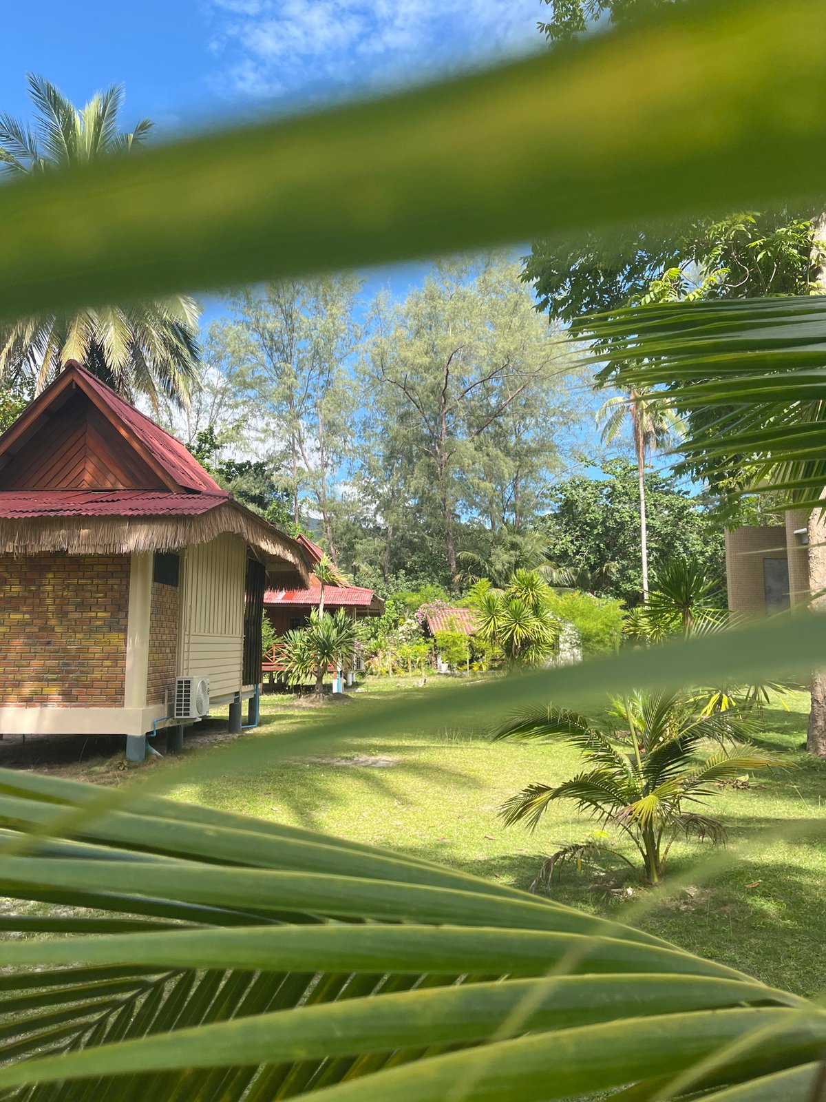 Morning resort life documented in Ko Pha Ngan, Thailand