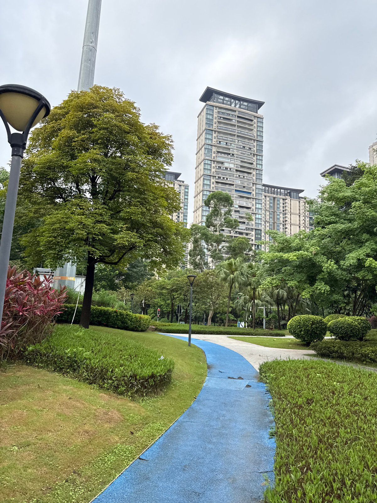 Haizhu riverside park: pathways, palms, and the Guangzhou skyline