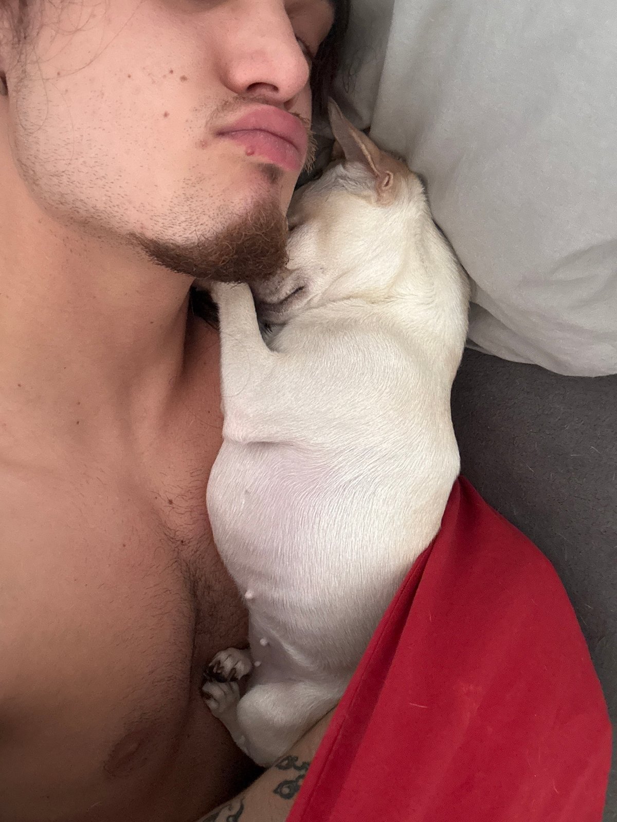 Man and white dog share quiet morning rest in Sofia