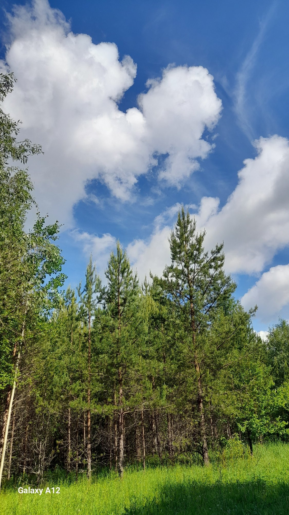 Morning nature photography session documented in rural Марковский, Russia