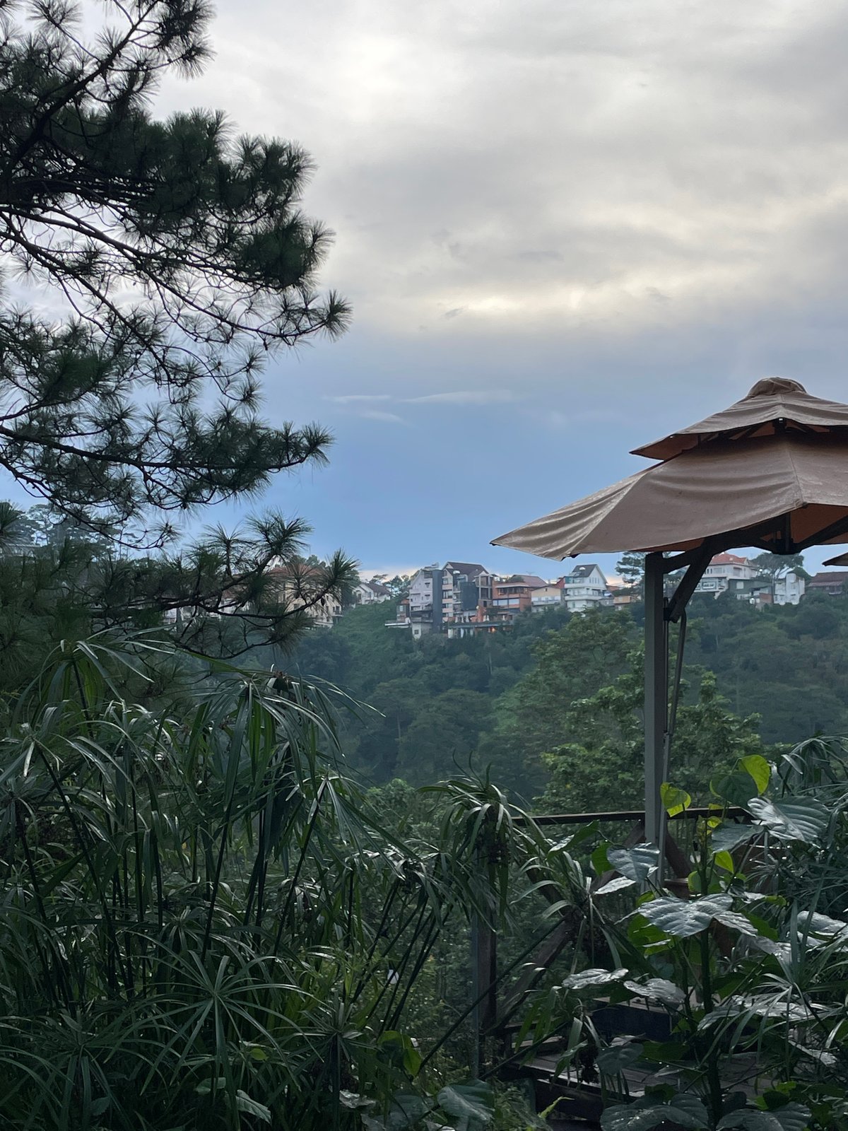 Tourist documents 34 minutes of daily life in Da Lat